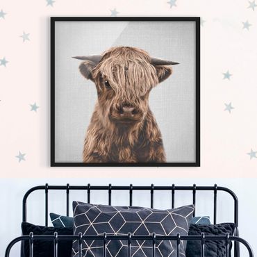 Poster encadré - Baby Highland Cow Henri
