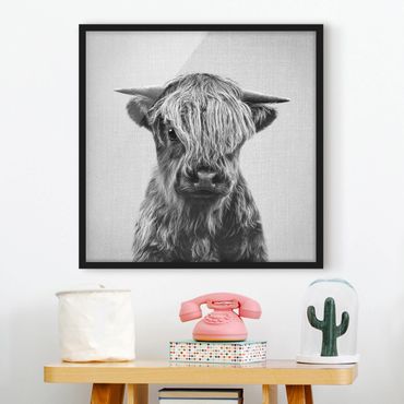 Poster encadré - Baby Highland Cow Henri Black And White
