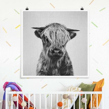 Poster reproduction - Baby Highland Cow Henri Black And White