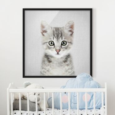Poster encadré - Baby Cat Killi