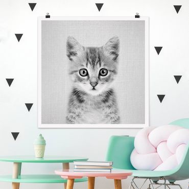 Poster reproduction - Baby Cat Killi Black And White