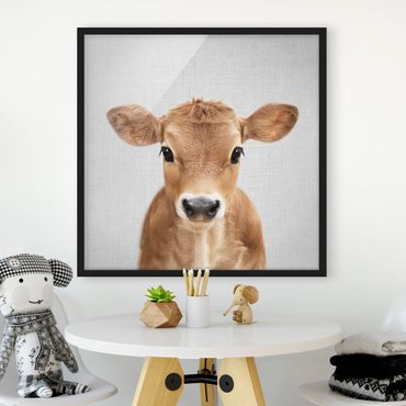 Poster encadré - Baby Cow Kira
