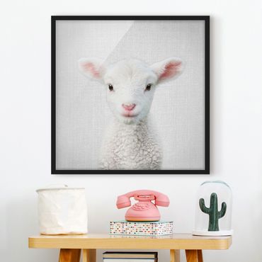 Poster encadré - Baby Lamb Lina