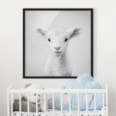 Poster encadré - Baby Lamb Lina Black And White