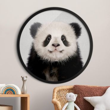 Tableau rond encadré - Baby Panda Prian