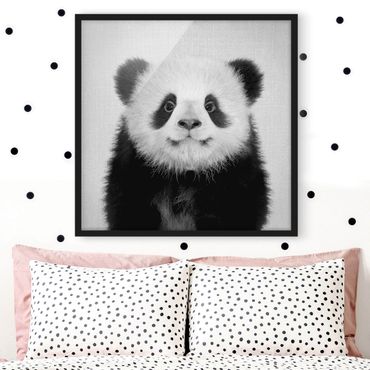 Poster encadré - Baby Panda Prian Black And White
