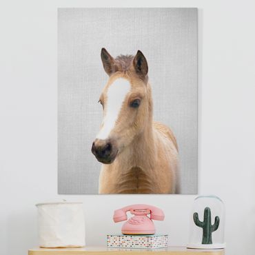 Tableau sur toile - Baby Horse Philipp - Format portrait 3:4