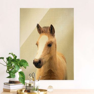 Tableau en verre - Baby Horse Philipp