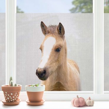 Décoration pour fenêtre - Petit cheval Philipp
