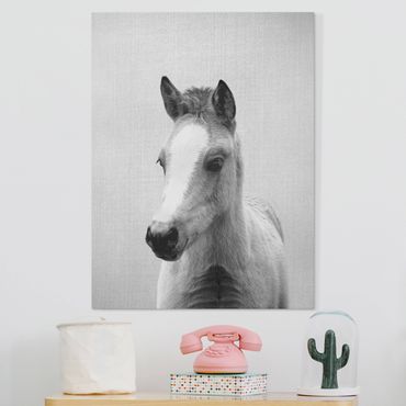 Tableau sur toile - Baby Horse Philipp Black And White - Format portrait 3:4