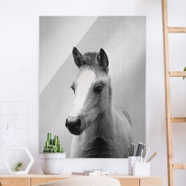 Tableau en verre - Baby Horse Philipp Black And White