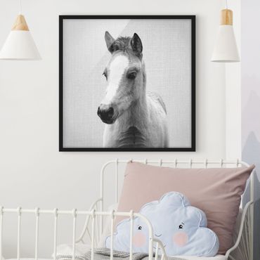 Poster encadré - Baby Horse Philipp Black And White