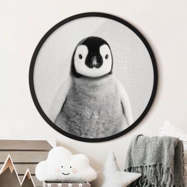 Tableau rond encadré - Baby Penguin Pepe Black And White