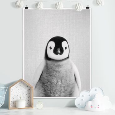 Poster reproduction - Baby Penguin Pepe Black And White