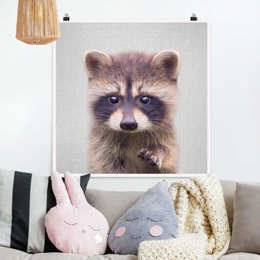 Poster reproduction - Baby Raccoon Wicky