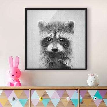 Poster encadré - Baby Raccoon Wicky Black And White