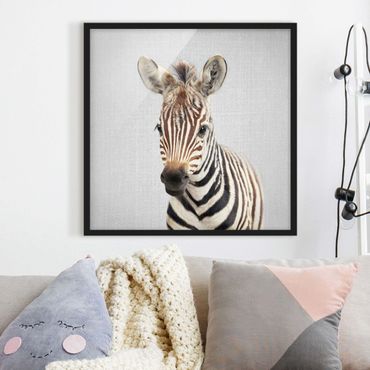 Poster encadré - Baby Zebra Zoey