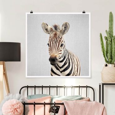 Poster reproduction - Baby Zebra Zoey