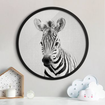 Tableau rond encadré - Baby Zebra Zoey Black And White