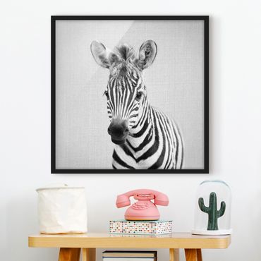 Poster encadré - Baby Zebra Zoey Black And White