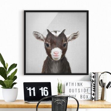 Poster encadré - Baby Goat Zelda