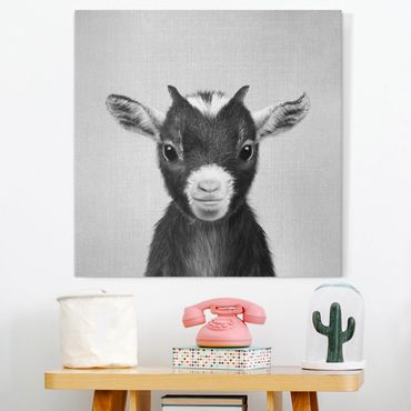 Tableau sur toile - Baby Goat Zelda Black And White - Carré 1:1
