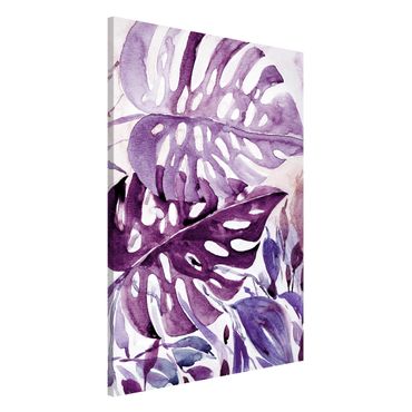 Tableau magnétique - Watercolour Tropical Leaves With Monstera In Aubergine