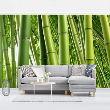 Papier peint - Bamboo Trees