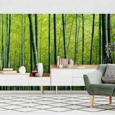 Papier peint - Bamboo Forest