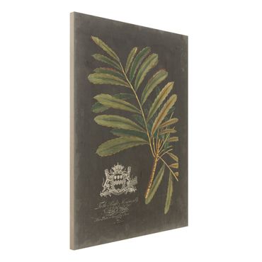 Impression sur bois - Vintage Royales Foliage On Black II