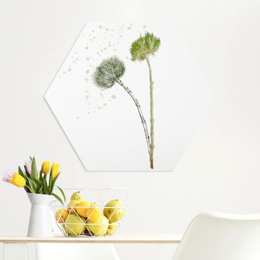 Hexagone en forex - Botanical Watercolour