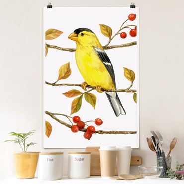 Poster animaux - Birds And Berries - American Goldfinch