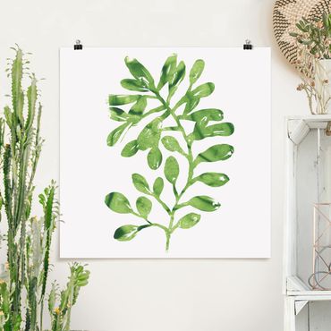 Poster - Tropical Leaves Watercolour II