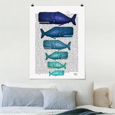 Poster citation - Animal Reading - Whale Family