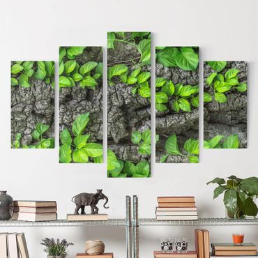 Impression sur toile 5 parties - Ivy Tendrils Tree Bark