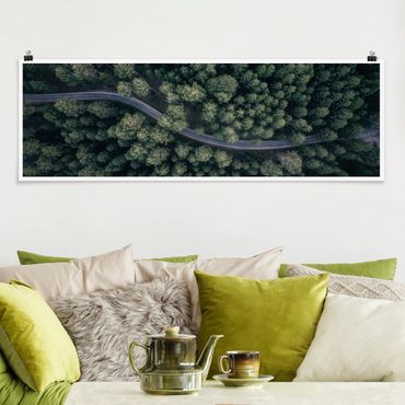 Poster panoramique nature & paysage - Aerial View - Forest Road From The Top