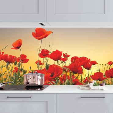 Revêtement mural cuisine - Poppy Field In Sunset
