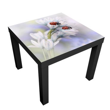 Table d'appoint design - Ladybird Couple