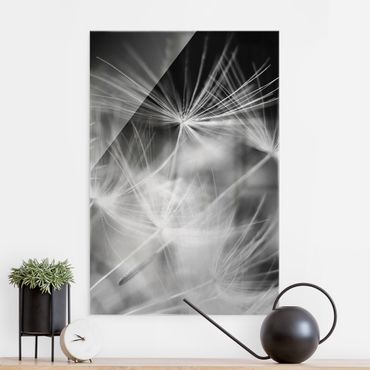 Tableau en verre - Moving Dandelions Close Up On Black Background - Format portrait