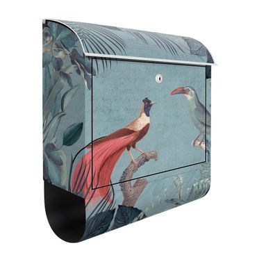 Letterbox - Blue Gray Paradise With Tropical Birds