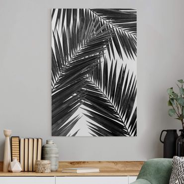 Tableau sur toile - View Through Palm Leaves Black And White