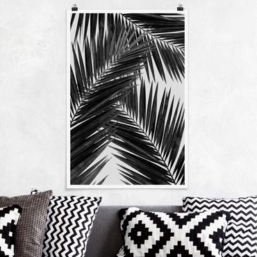 Poster - View Through Palm Leaves Black And White