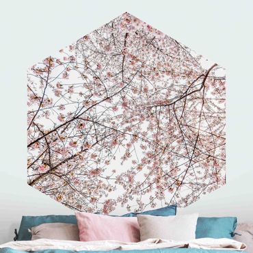 Papier peint panoramique hexagonal autocollant - Glance Upon Blossoming Cherry Branches
