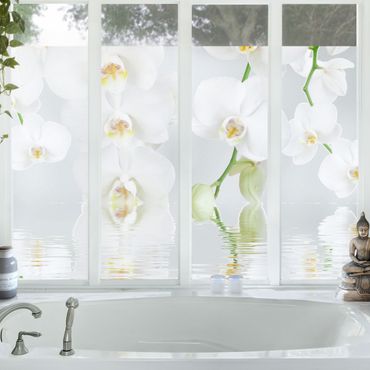 Décoration pour fenêtres - Spa Orchid - White Orchid