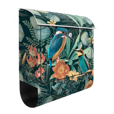 Letterbox - Floral Paradise Kingfisher And Hummingbird