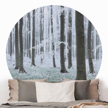 Papier peint rond autocollant forêt - Beeches With Hoarfrost