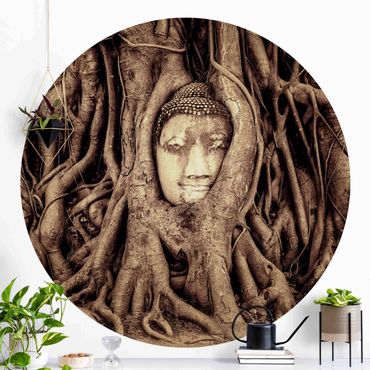 Papier peint rond autocollant - Buddha In Ayutthaya Lined From Tree Roots In Brown