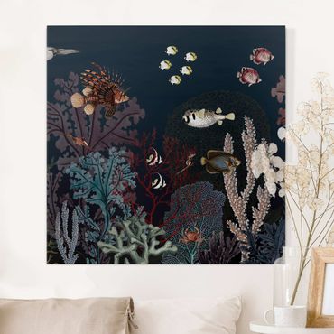 Impression sur toile - Récif corallien coloré la nuit - Carré 1:1