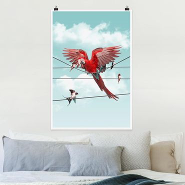 Poster animaux - Sky With Birds