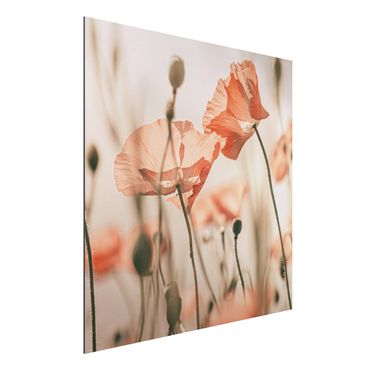 Tableau sur aluminium - Poppy Flowers In Summer Breeze